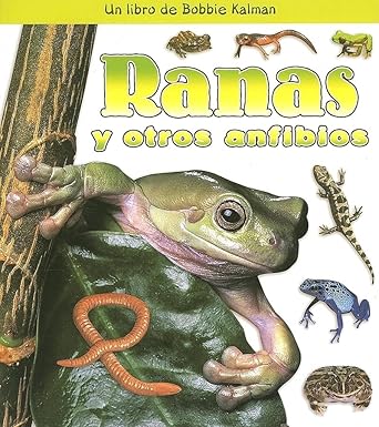 Ranas Y Otros Anfibios (Frogs and Other Amphibians) (¿Qué Tipo de Animal Es? (What Kind of Animal Is It?)) (Spanish Edition) cover image